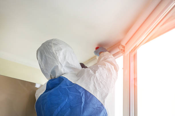 Best Mold Prevention Services  in Carefree, AZ